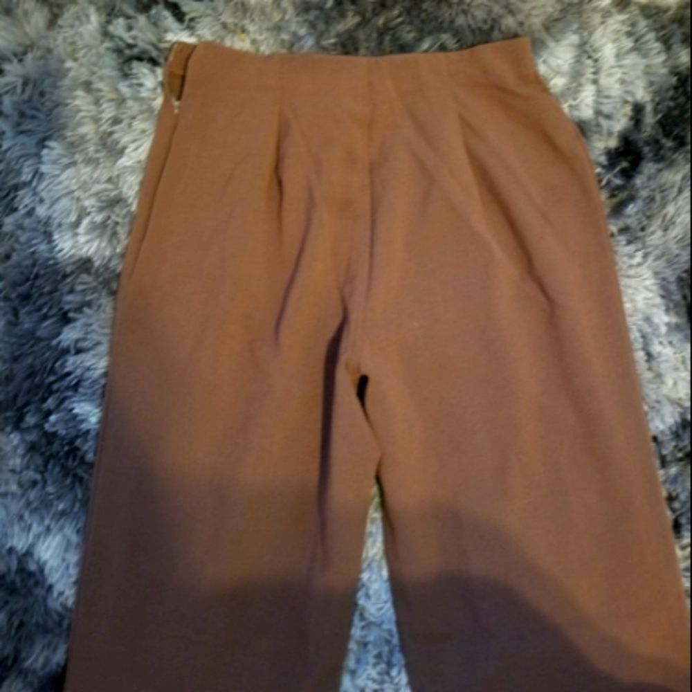 🤠Chadwick's Lightweight Stretch Dress Pants Size 6 - Picture 4 of 6